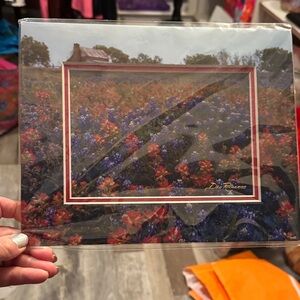 Dan Richard’s Floral Landscape four prints Art Print